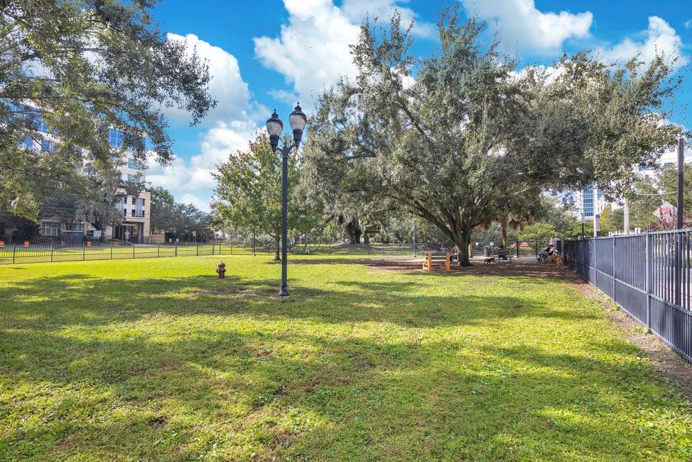 1008 East Robinson Street Orlando, FL 32801 - Photo 29 of 40 a view of swimming pool with trees in the background