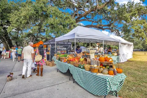 a view of a lake with a city