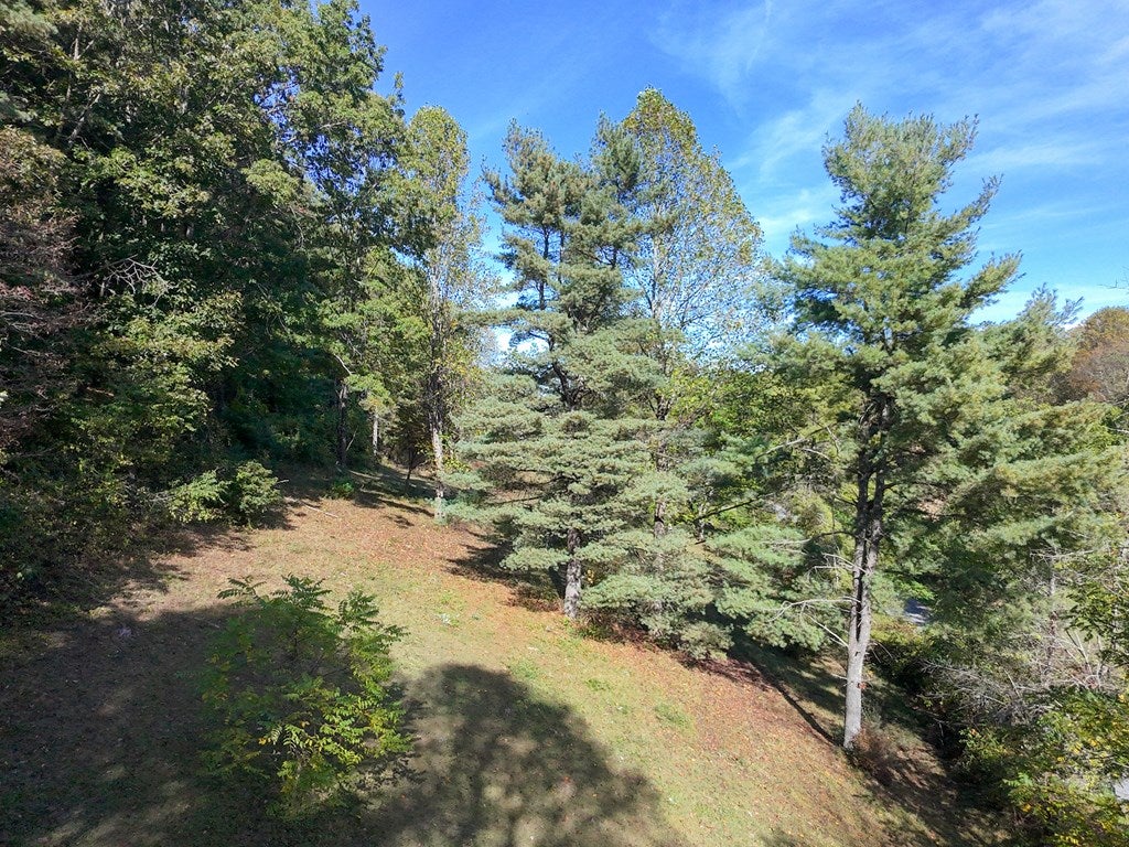 749 Knight Road Rural Retreat, VA 24368 - Photo 62 of 76 Gallery Image 62