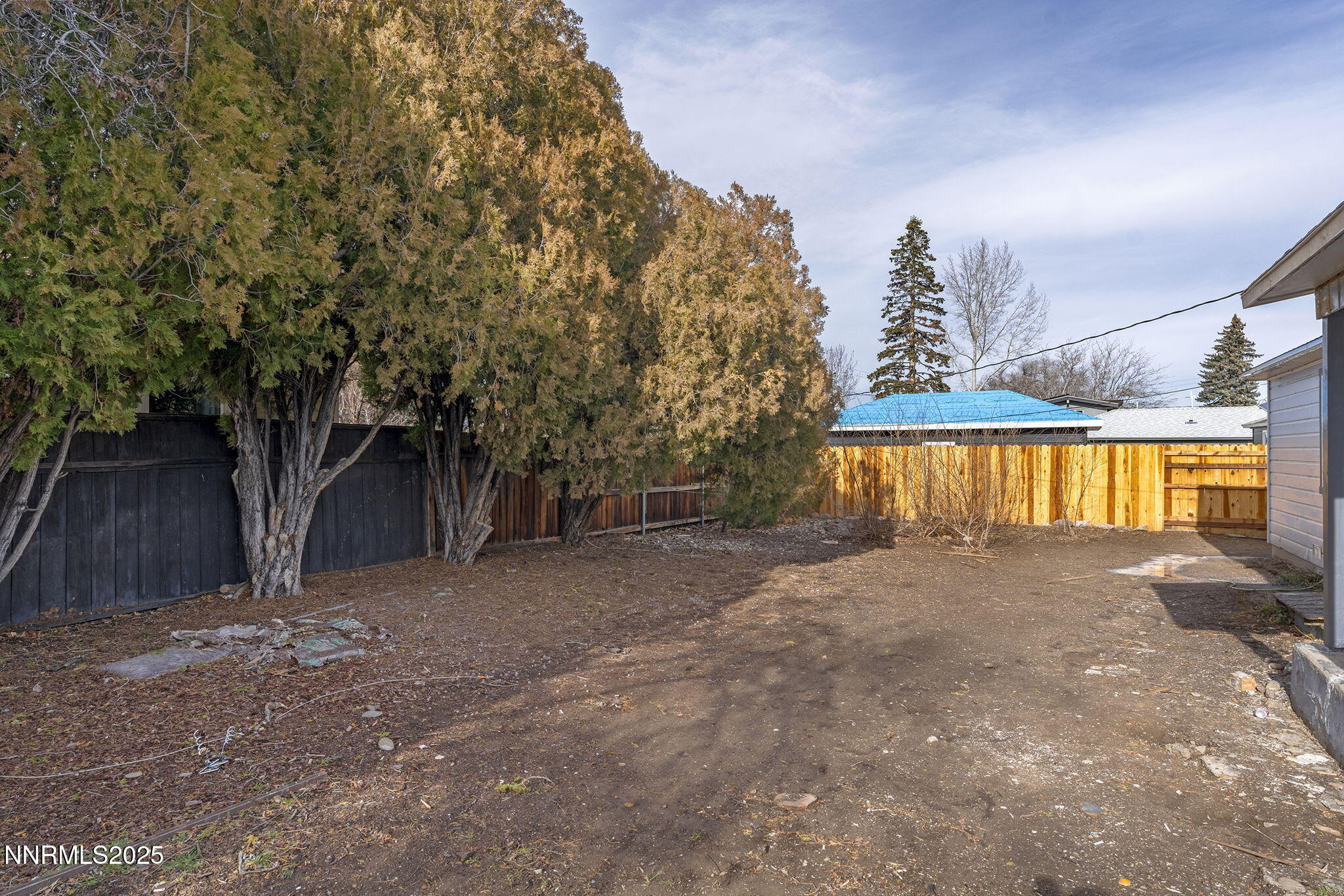 1085 Memory Lane Reno, NV 89509 - Photo 21 of 21 a view of a backyard with large trees
