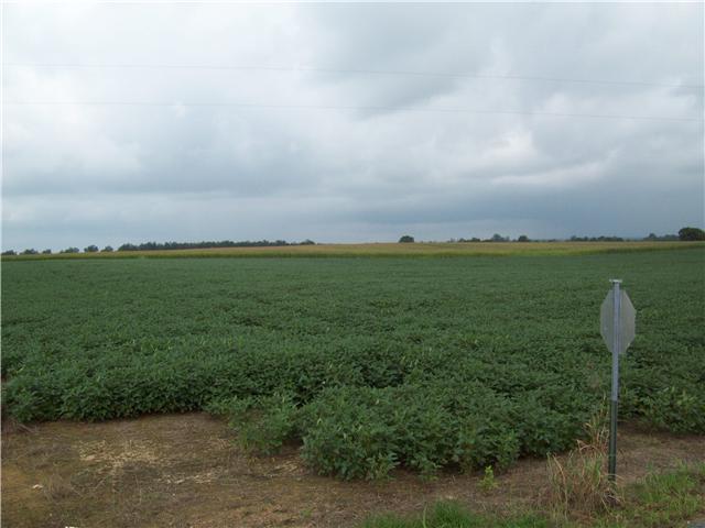 T1 Borderline Road Flintville, TN 37335 - Photo 3 of 6 a view of a field with ocean view
