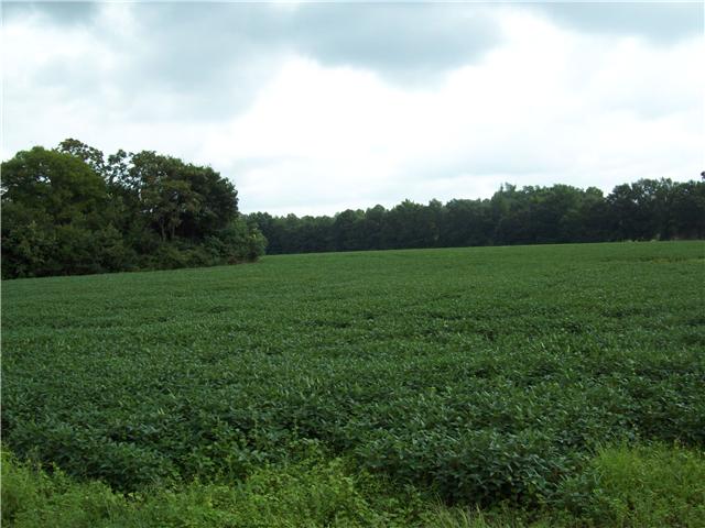 T1 Borderline Road Flintville, TN 37335 - Photo 4 of 6 a view of grassy field with trees