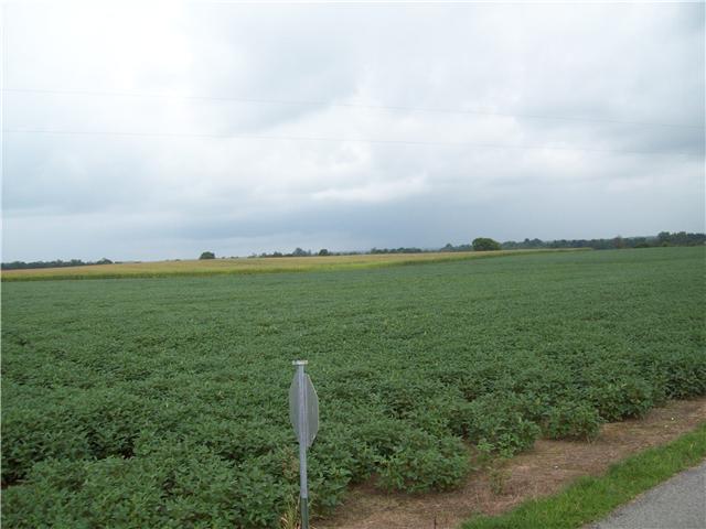 T1 Borderline Road Flintville, TN 37335 - Photo 6 of 6 a view of a field with an outdoor space