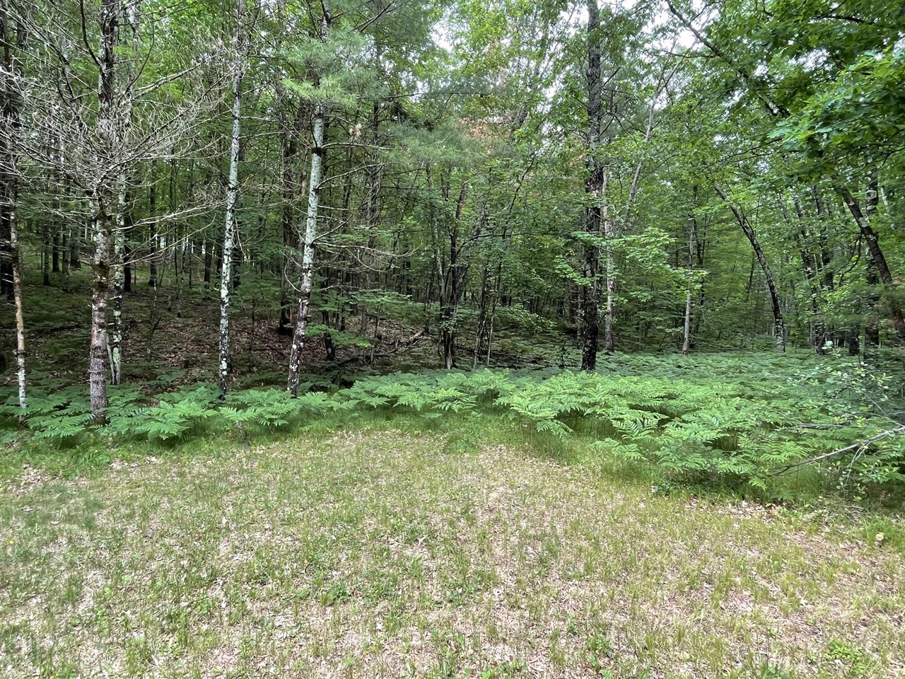8725 West River Road Irons, MI 49644 - Photo 31 of 37