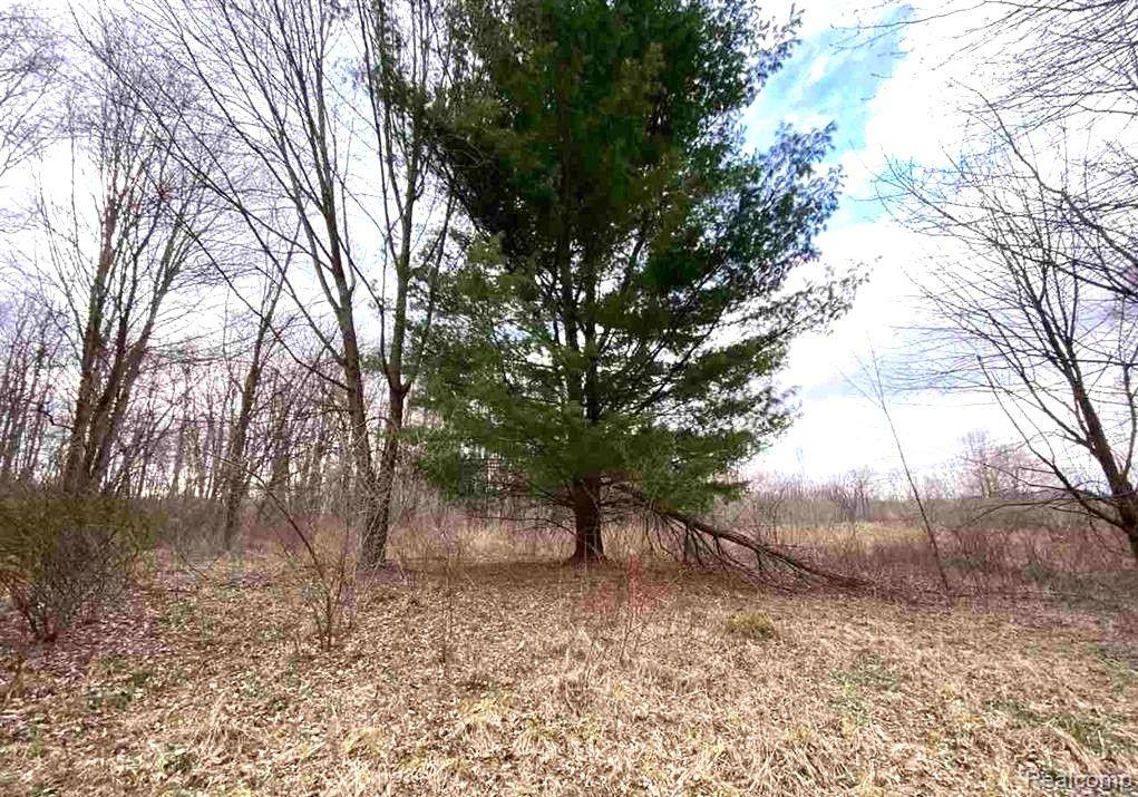1771 East Predmore Road Oakland, MI 48363 - Photo 11 of 17 Gallery Image 11
