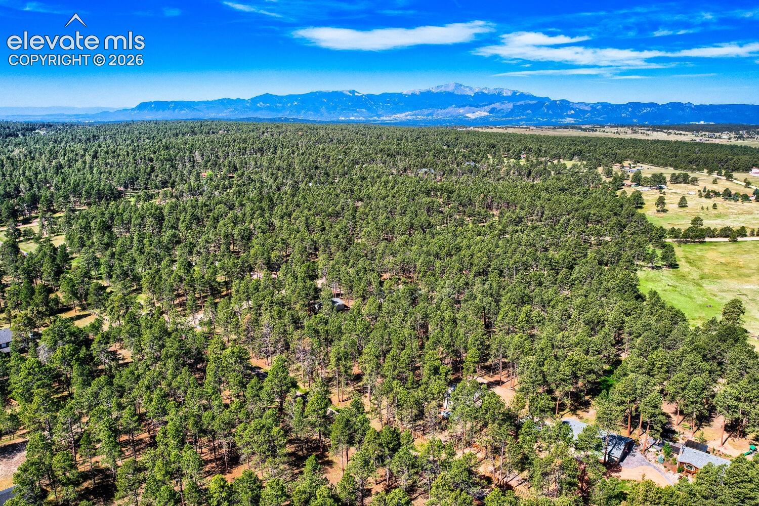 8750 Tannenbaum Road Colorado Springs, CO 80908 - Photo 49 of 50 Gallery Image 49