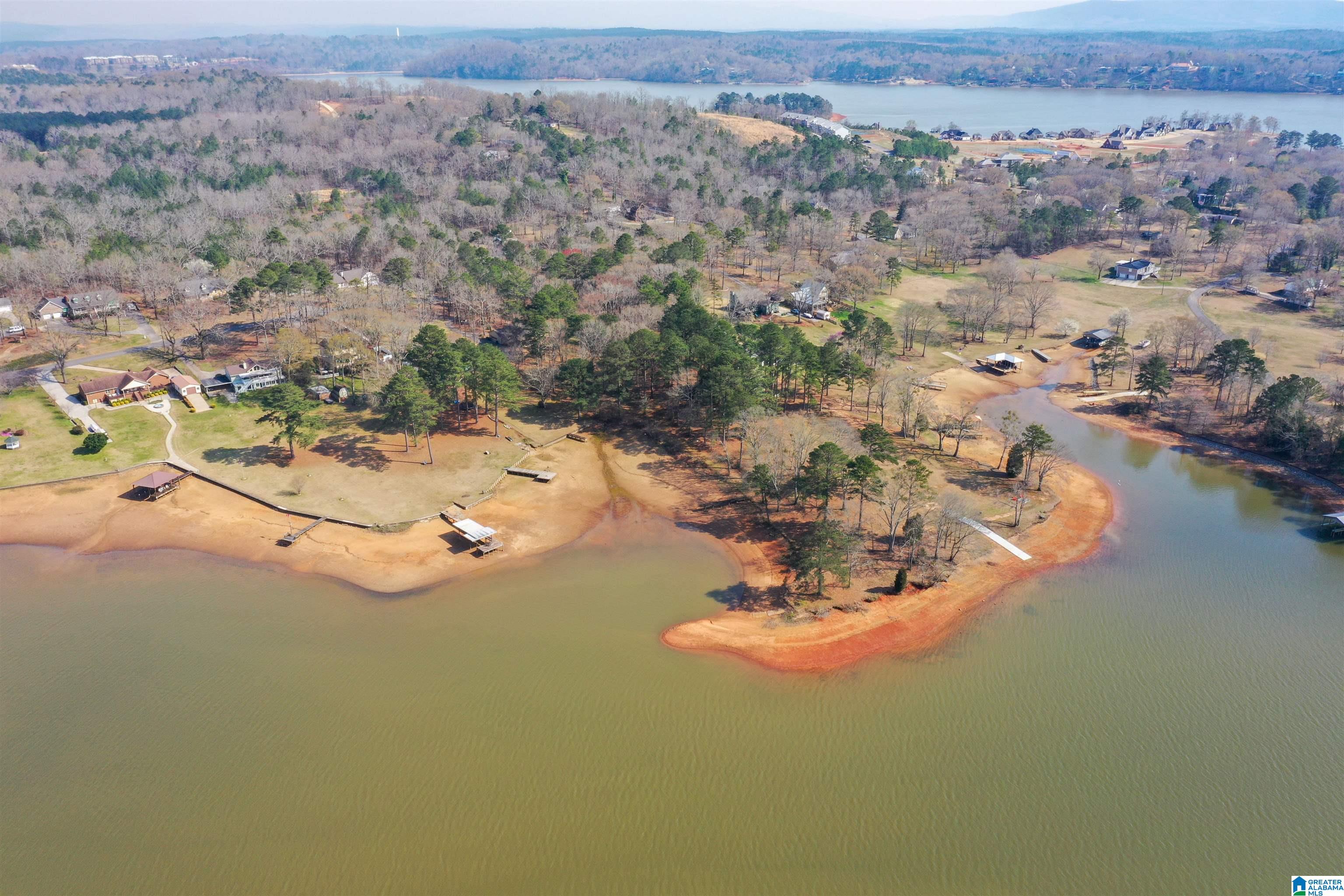 1600 Funderburg Bend Road Pell City, AL 35128 - Photo 46 of 49