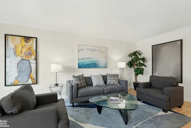 a living room with furniture and a potted plant