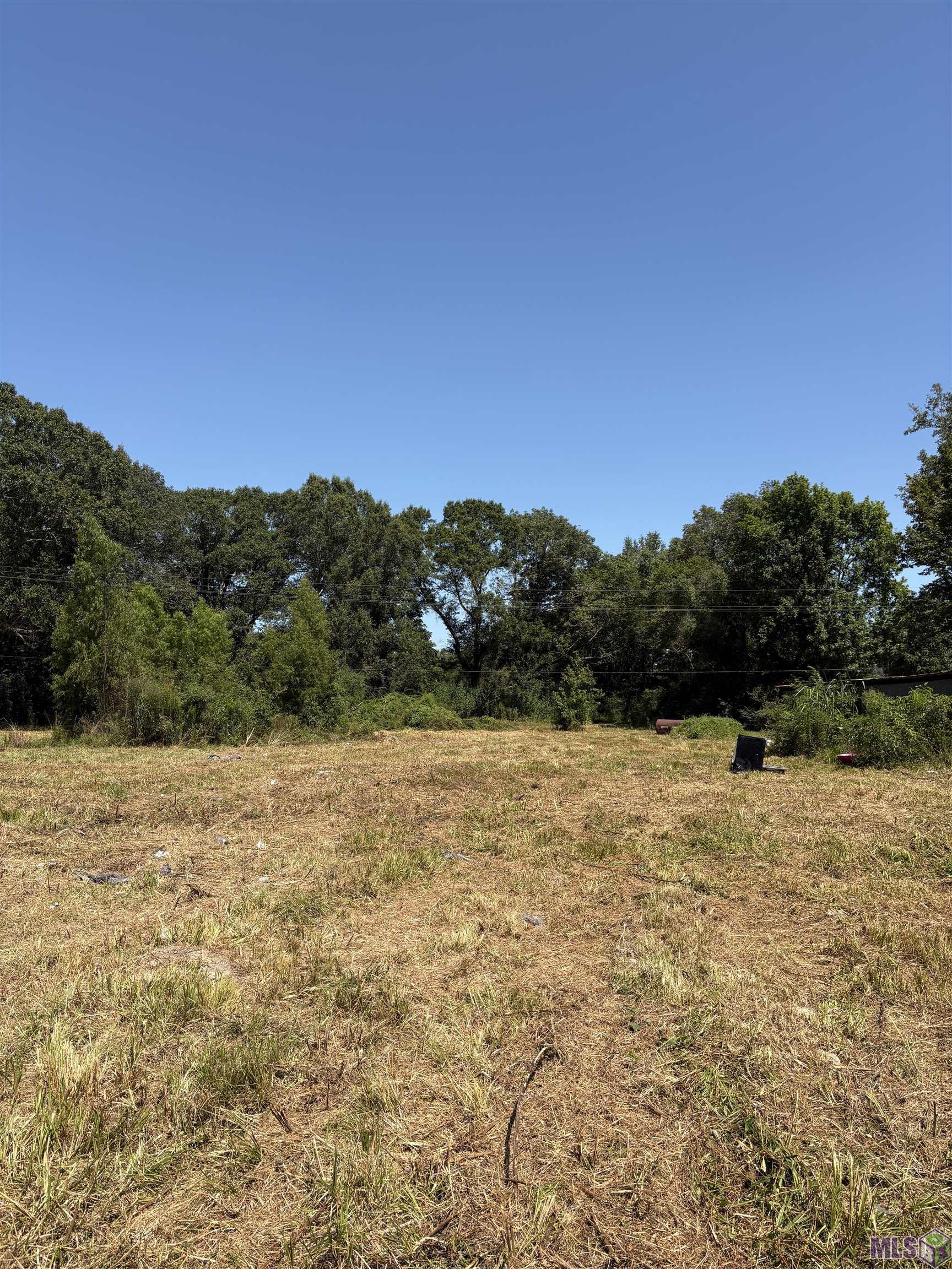 6493 Port Hudson-Pride Road Slaughter, LA 70777 - Photo 4 of 6