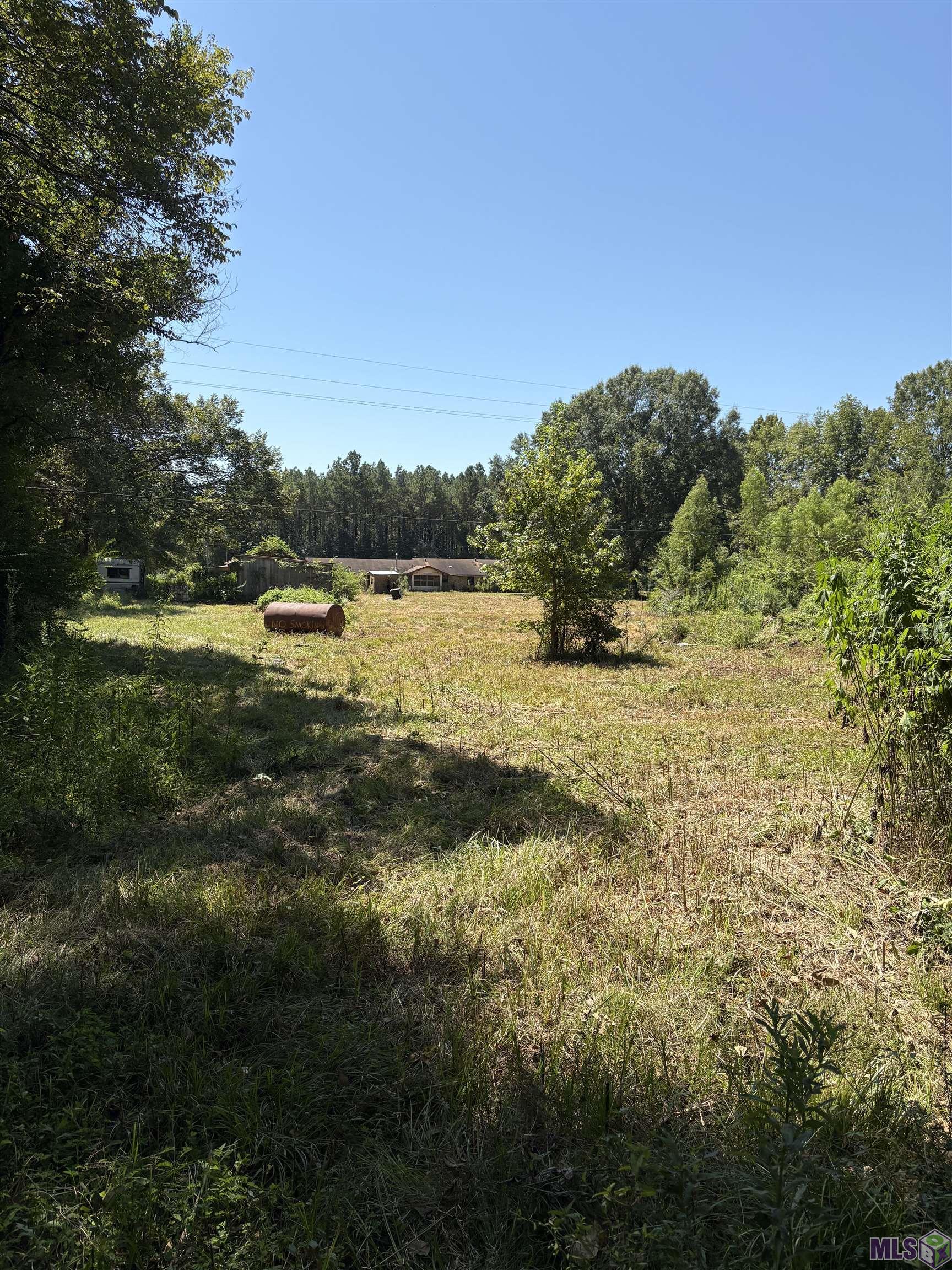 6493 Port Hudson-Pride Road Slaughter, LA 70777 - Photo 6 of 6