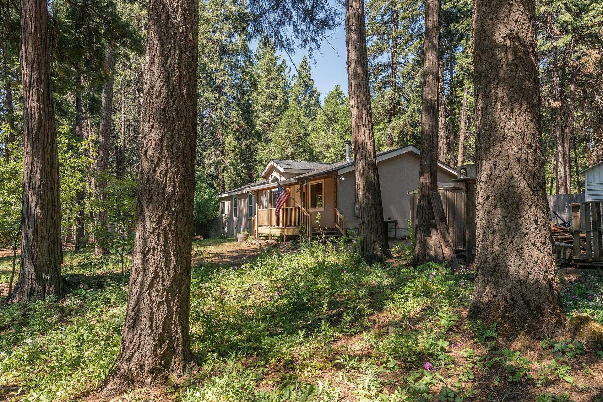 7738 Pegnan Road Shingletown, CA 96088 - Photo 32 of 44 IMG-8656