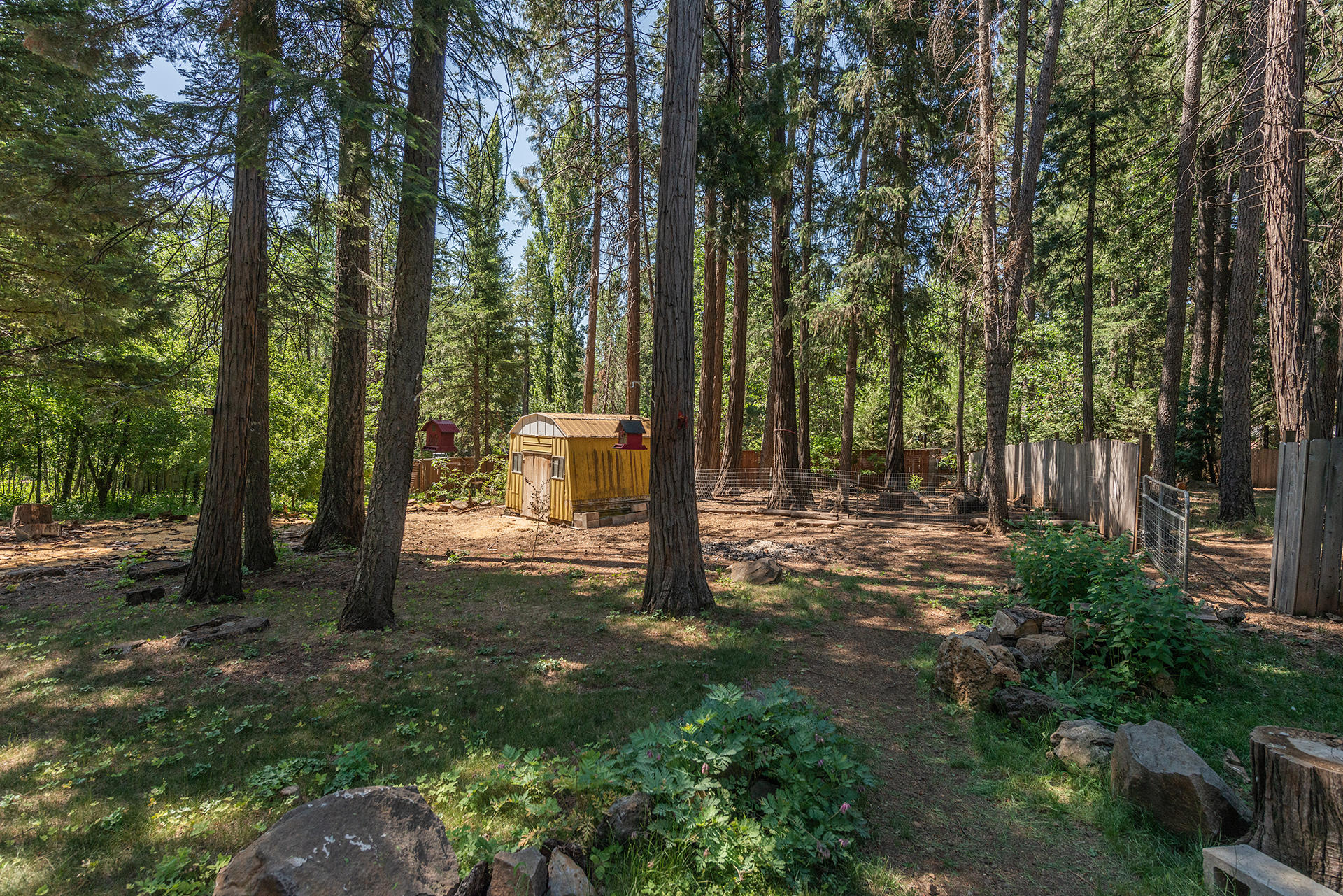 7738 Pegnan Road Shingletown, CA 96088 - Photo 33 of 44 IMG-8667