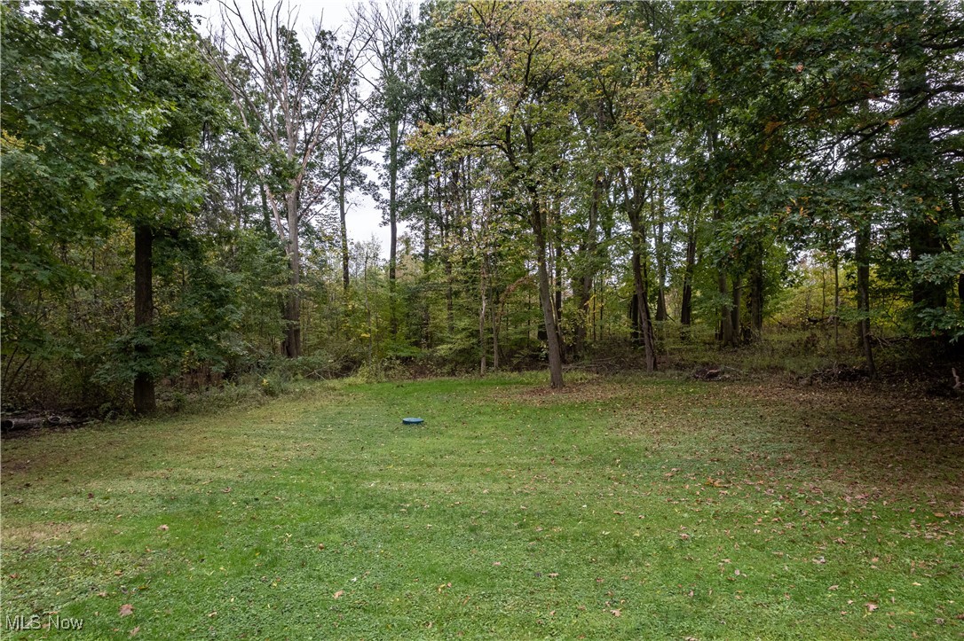 3586 Samuel Road Akron, OH 44312 - Photo 2 of 33