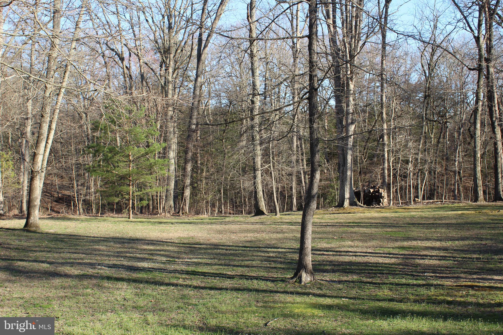 8385 Maryland Road Pasadena, MD 21122 - Photo 21 of 21 Back yard from just outside the pool area