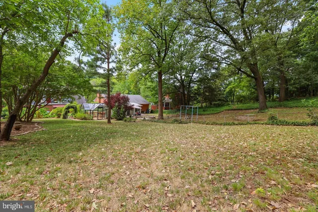 a view of a park with large trees