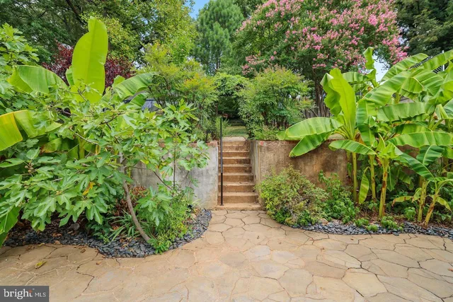 a view of a patio with table and chairs and potted plants