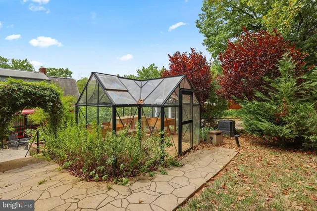 a view of a garden with a tree