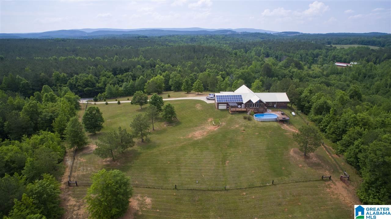 2600 McKay Road Delta, AL 36258 - Photo 4 of 31