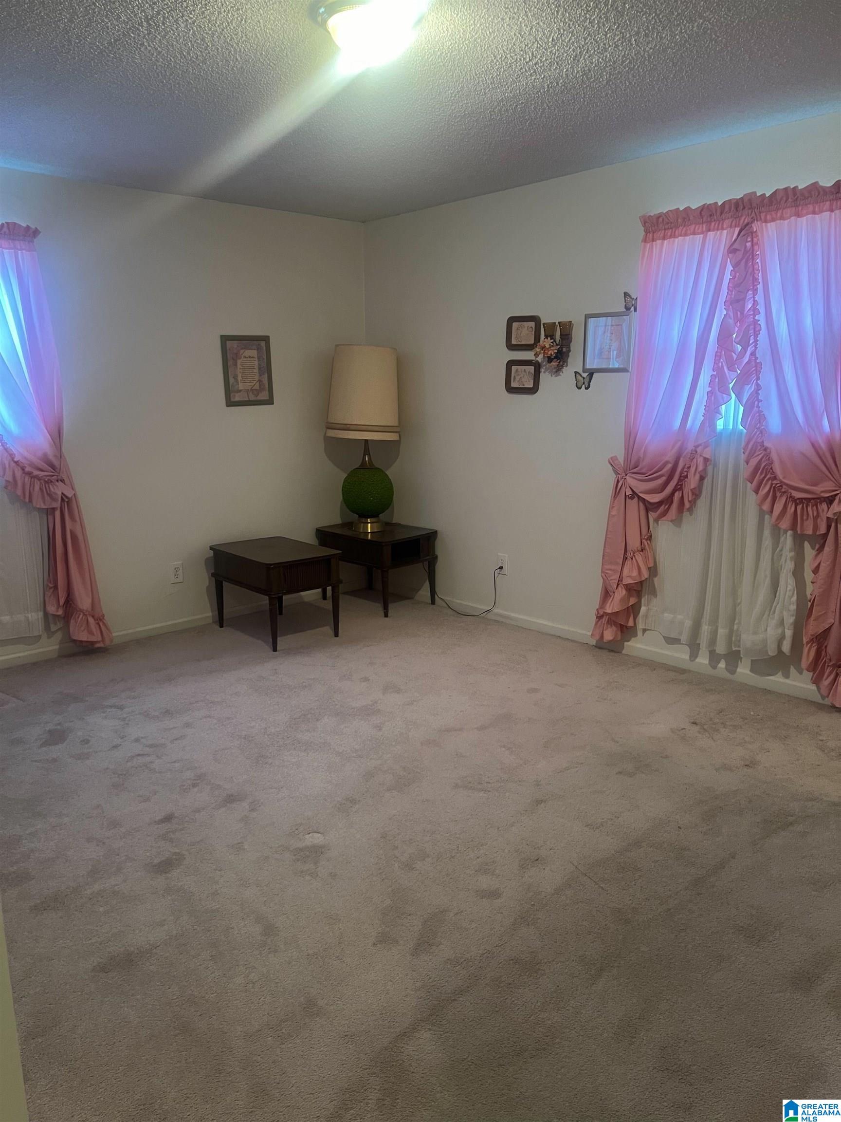 841 St Mary Road Gordon, AL 36343 - Photo 7 of 13
