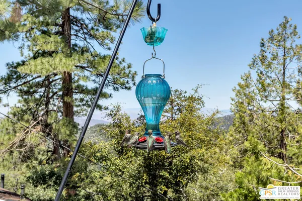 $625,000 | 23971 Skyview Drive, Idyllwild, CA 92549