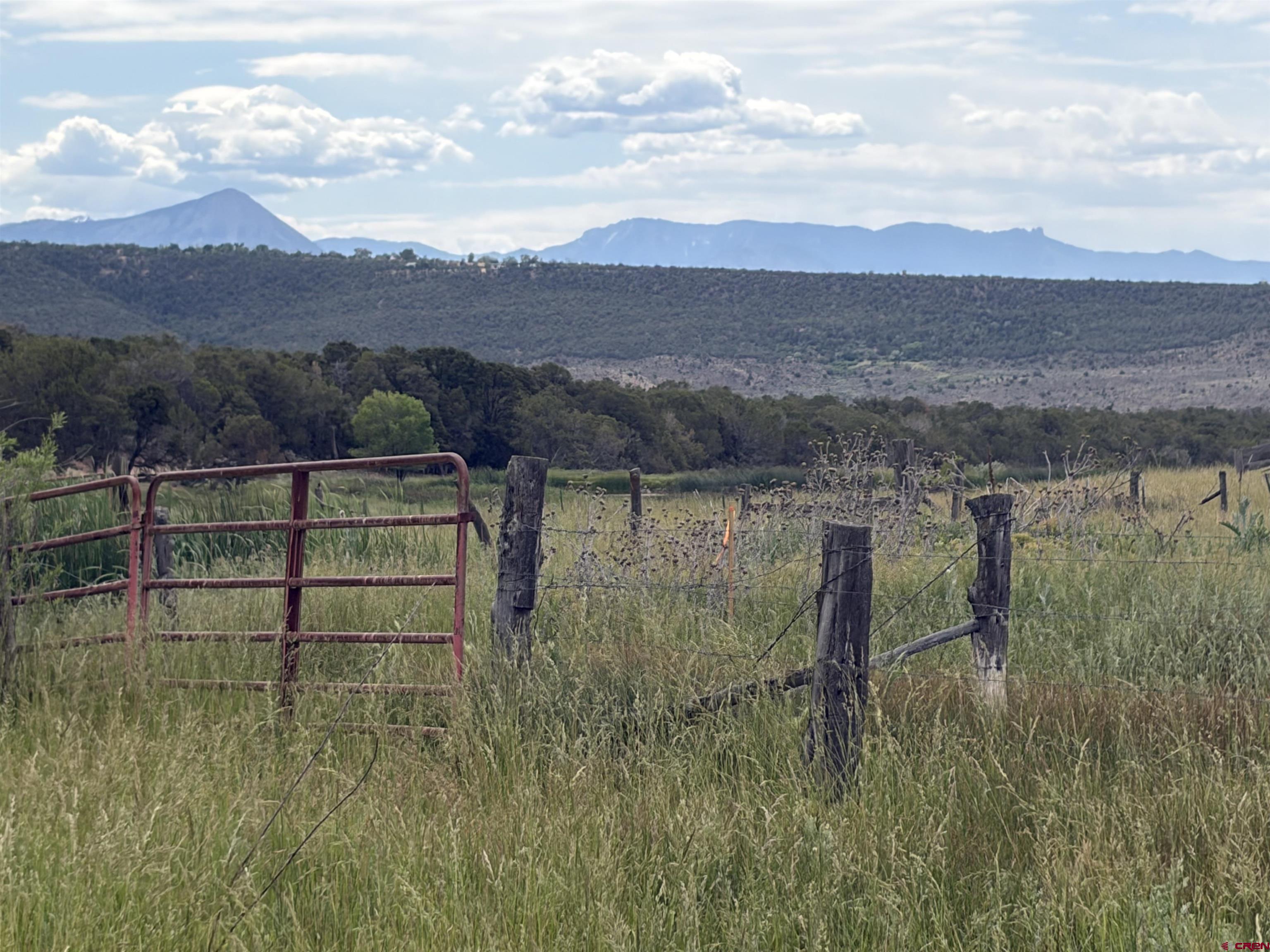Tbd Cactus Park Road Cedaredge, CO 81413 - Photo 8 of 12