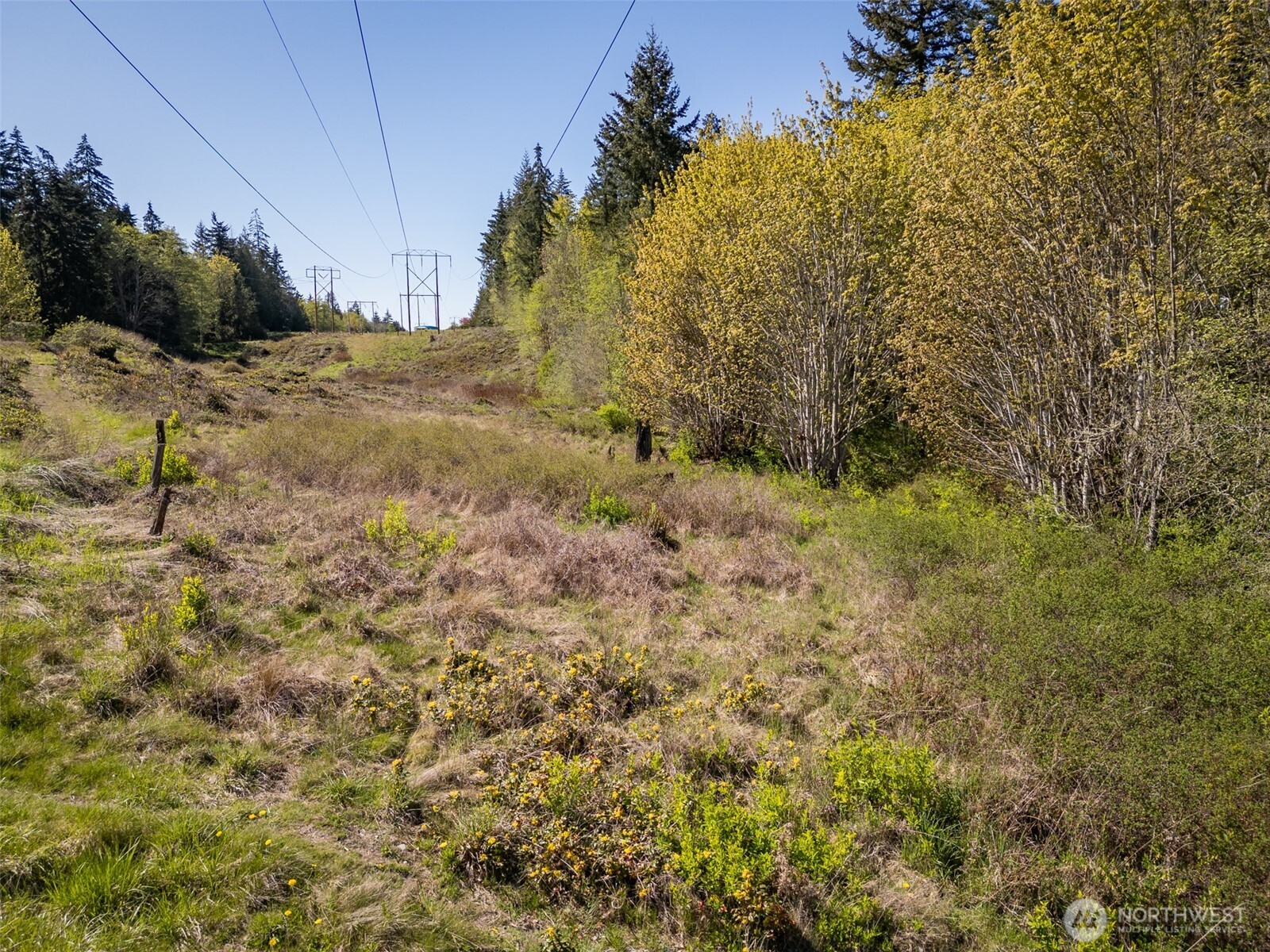 0 Roy Street Port Angeles, WA 98362 - Photo 18 of 23