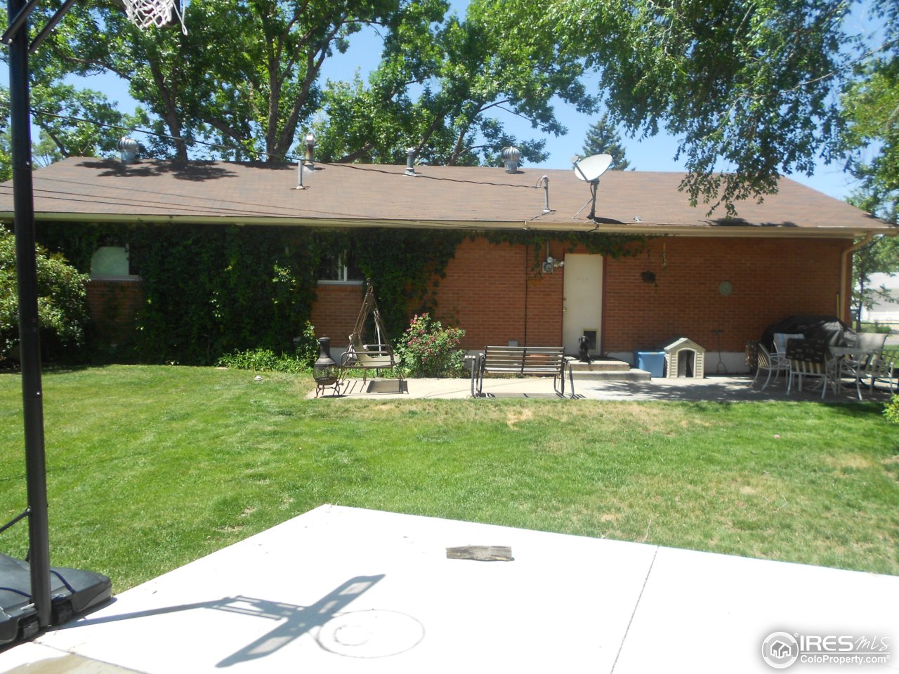 2428 West 24th Street Road Greeley, CO 80634 - Photo 23 of 25 Spacious backyard