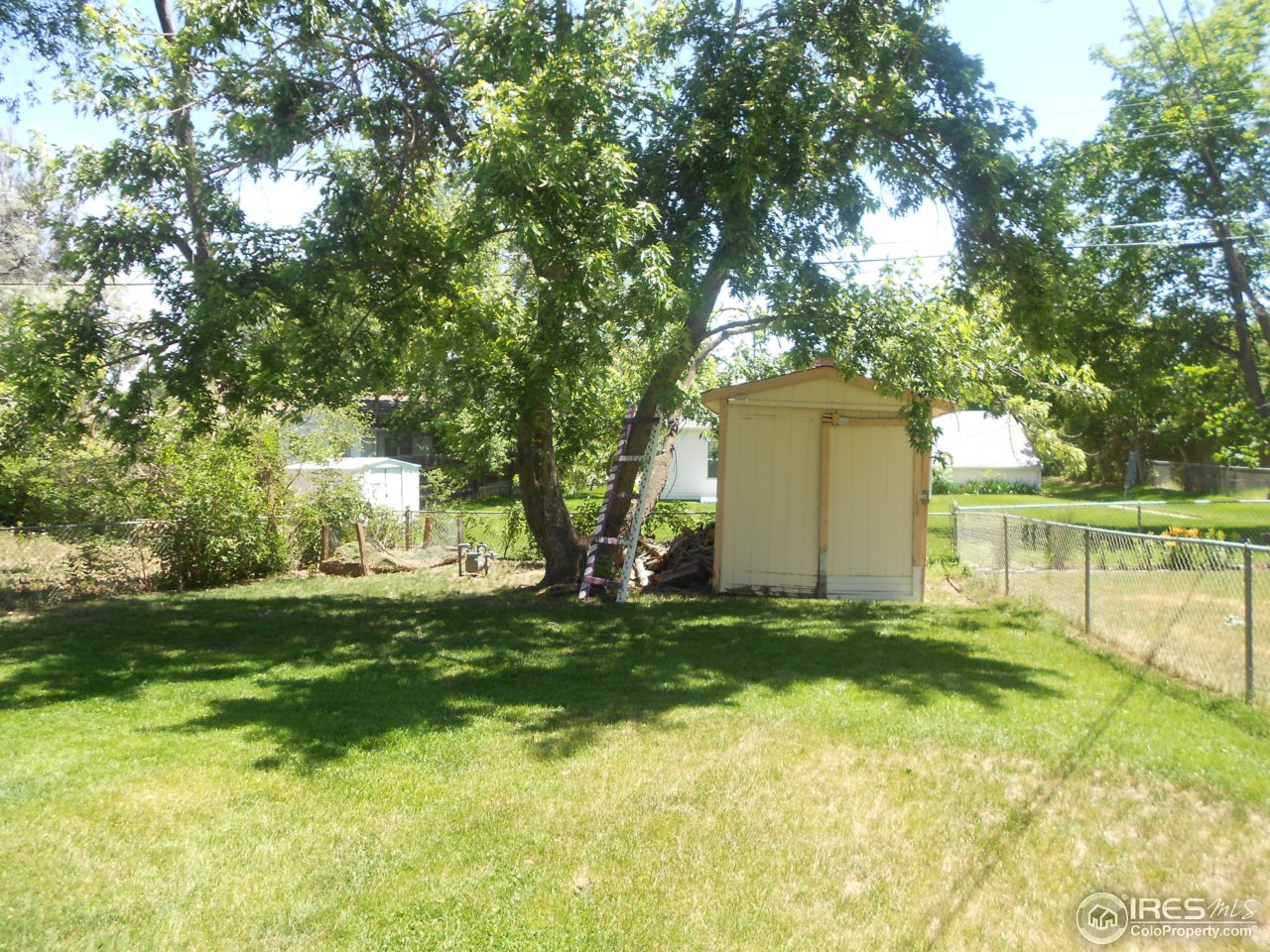 2428 West 24th Street Road Greeley, CO 80634 - Photo 25 of 25 Fenced backyard with storage shed