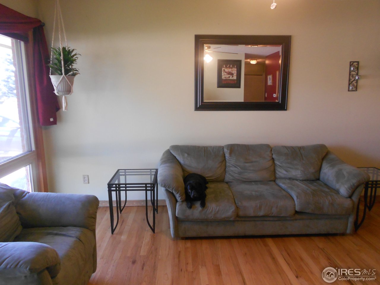 2428 West 24th Street Road Greeley, CO 80634 - Photo 7 of 25 Another view of Living Area
