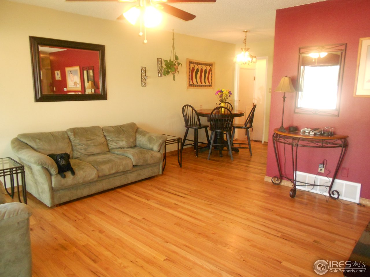 2428 West 24th Street Road Greeley, CO 80634 - Photo 8 of 25 Hardwood floors throughout main
