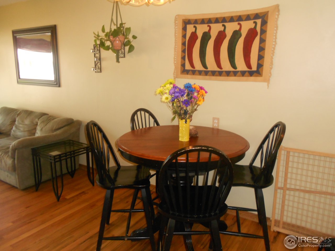 2428 West 24th Street Road Greeley, CO 80634 - Photo 9 of 25 Open and spacious Living Area