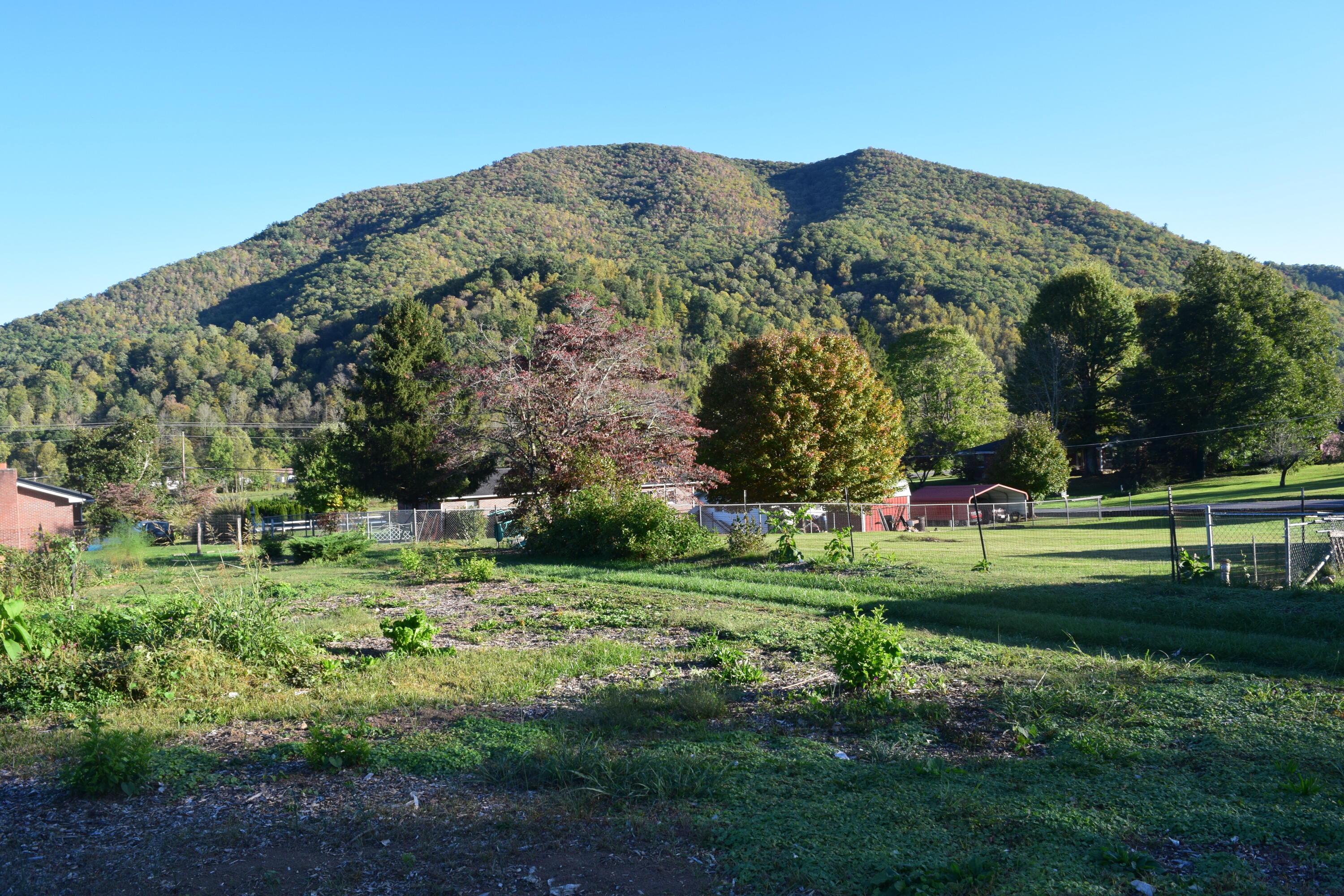 976 Rittertown Road Hampton, TN 37658 - Photo 11 of 17 DSC_0403