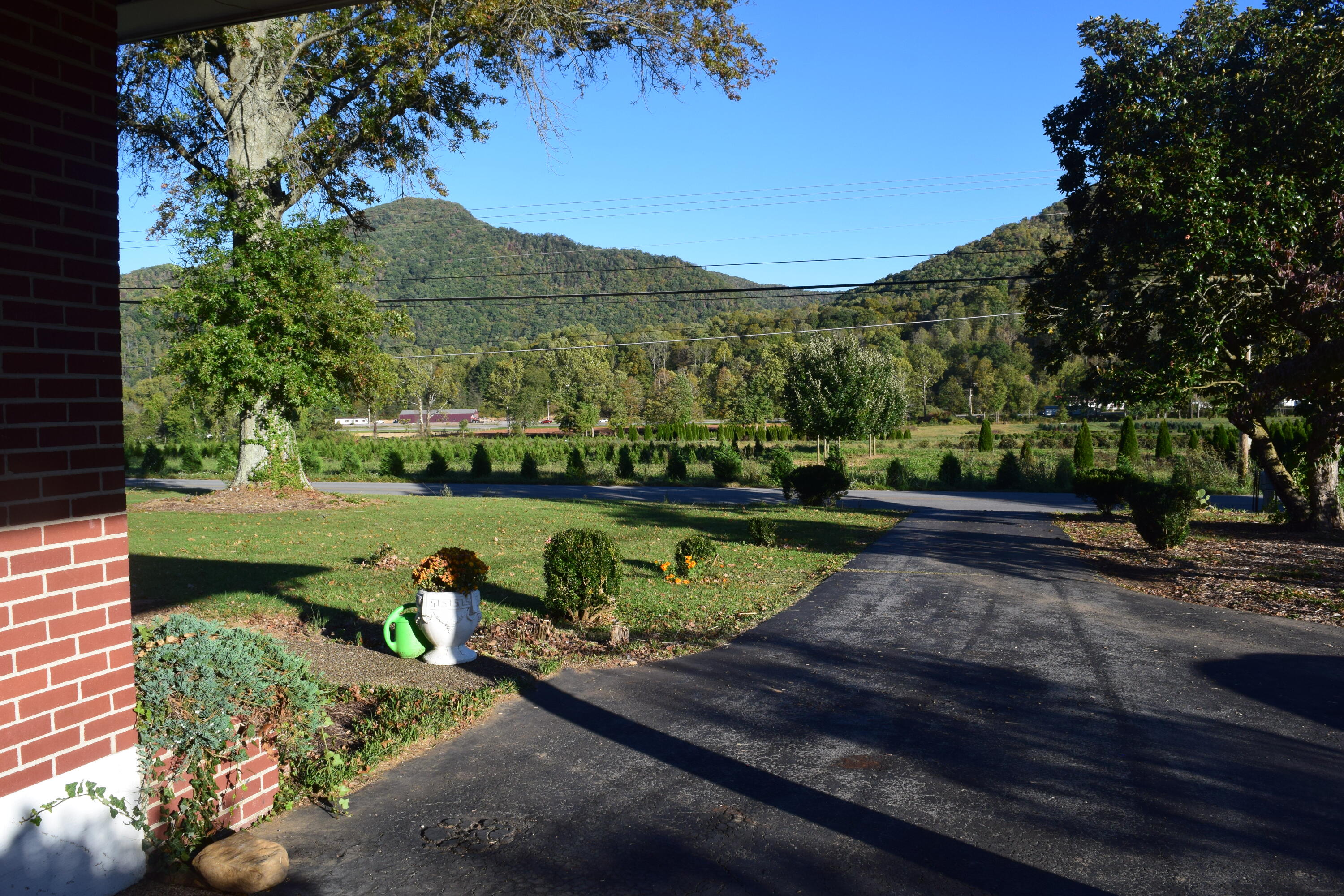 976 Rittertown Road Hampton, TN 37658 - Photo 3 of 17 DSC_0390