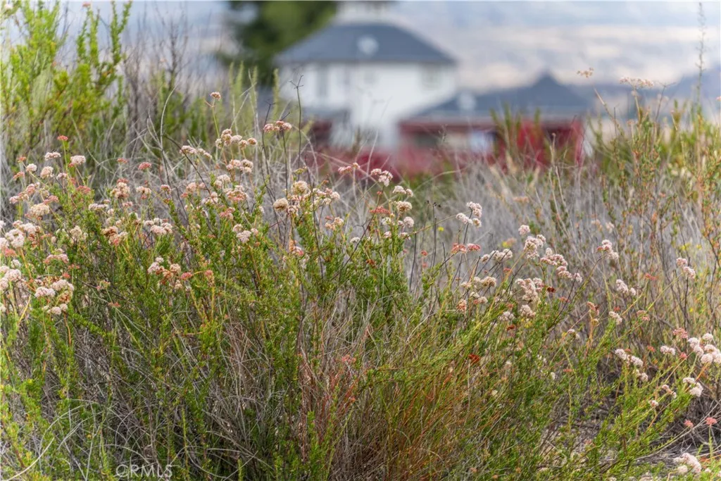 1 Gray Squirrel Road Temecula, CA 92592 - Photo 33 of 74