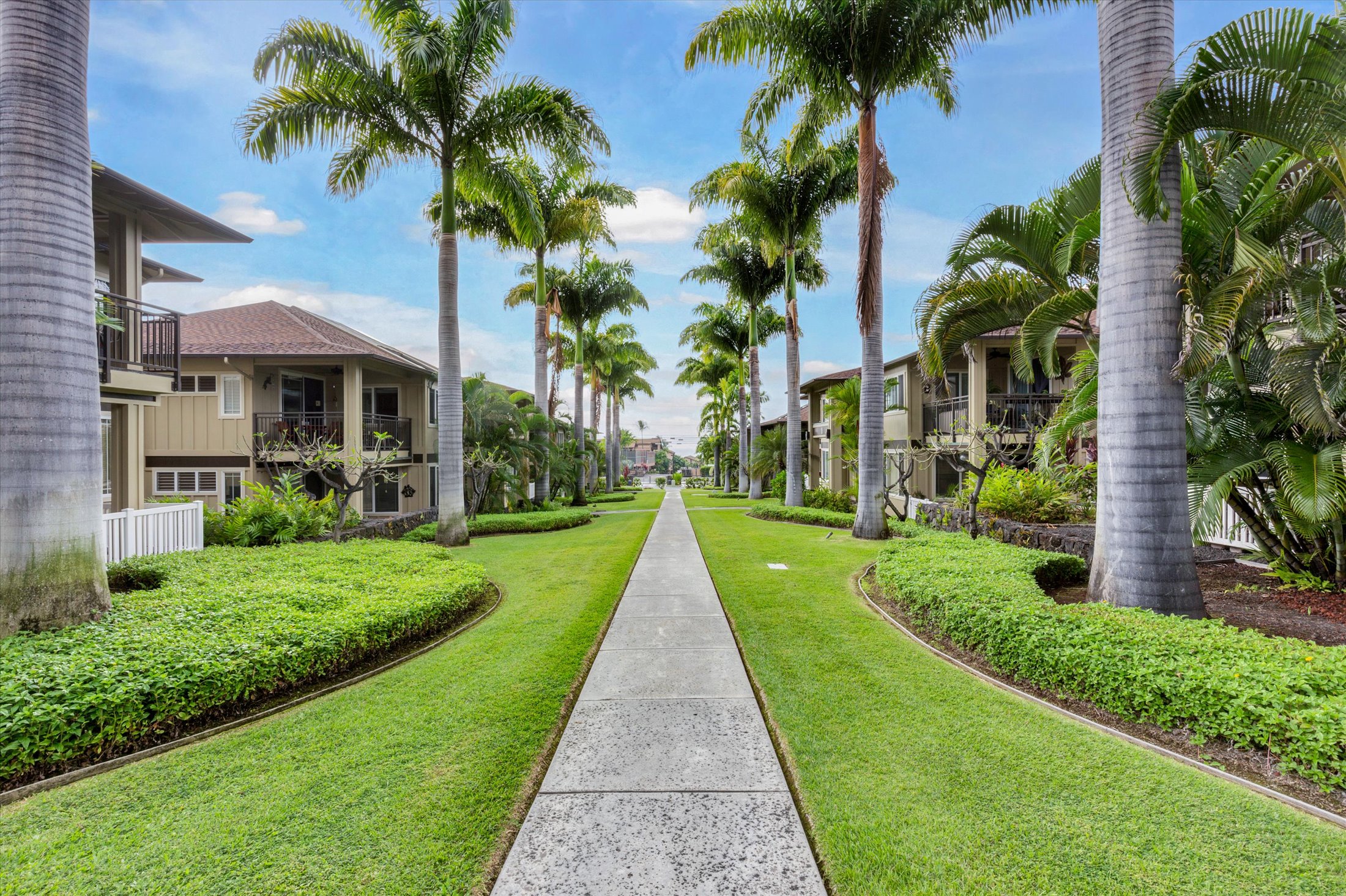 a view of a yard with palm trees