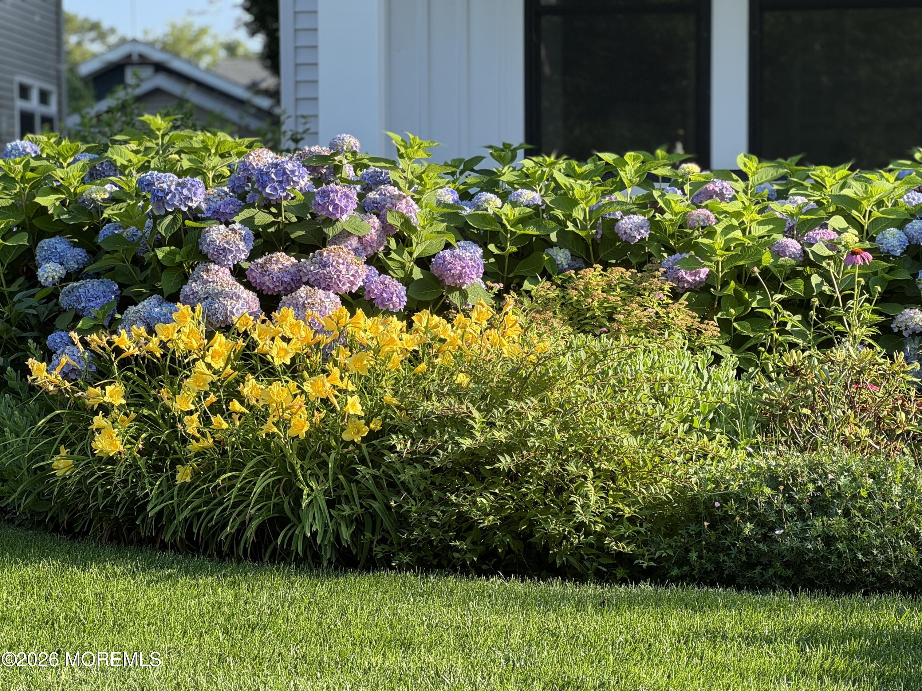 513 Morris Avenue Spring Lake, NJ 07762 - Photo 32 of 38 IMG_0767