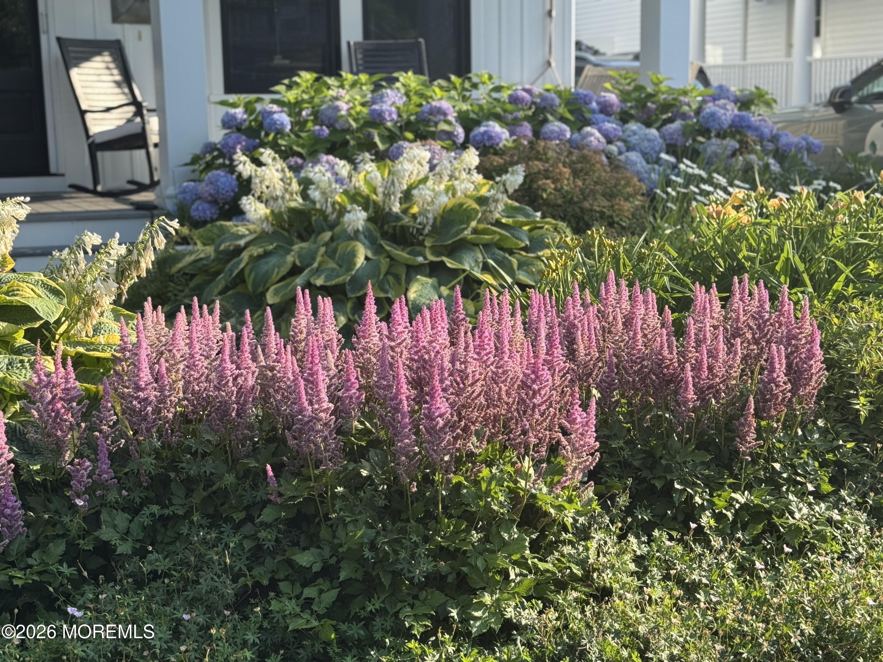 513 Morris Avenue Spring Lake, NJ 07762 - Photo 33 of 38 IMG_0768