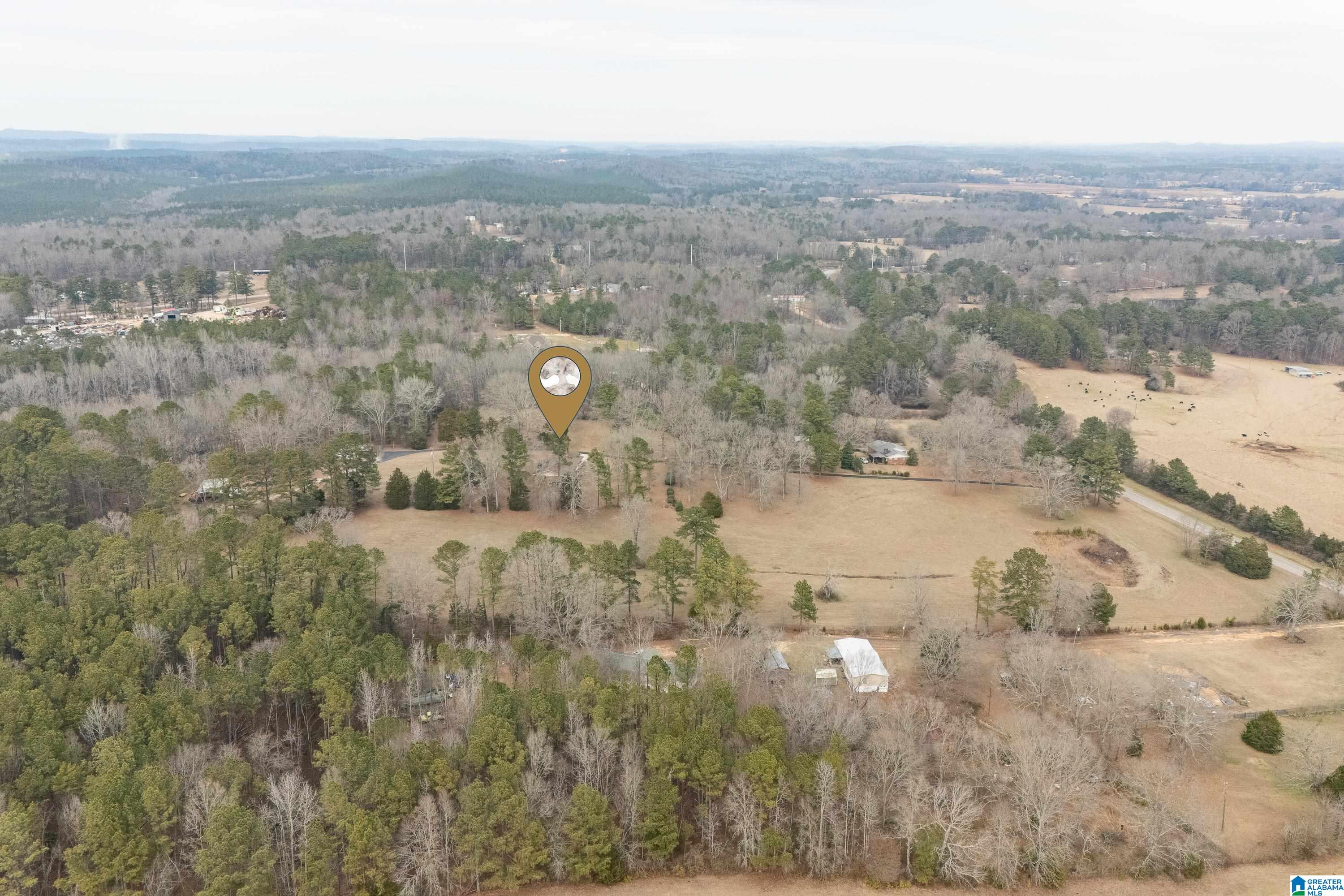 4175 Logan Martin Dam Road Cropwell, AL 35054 - Photo 42 of 47
