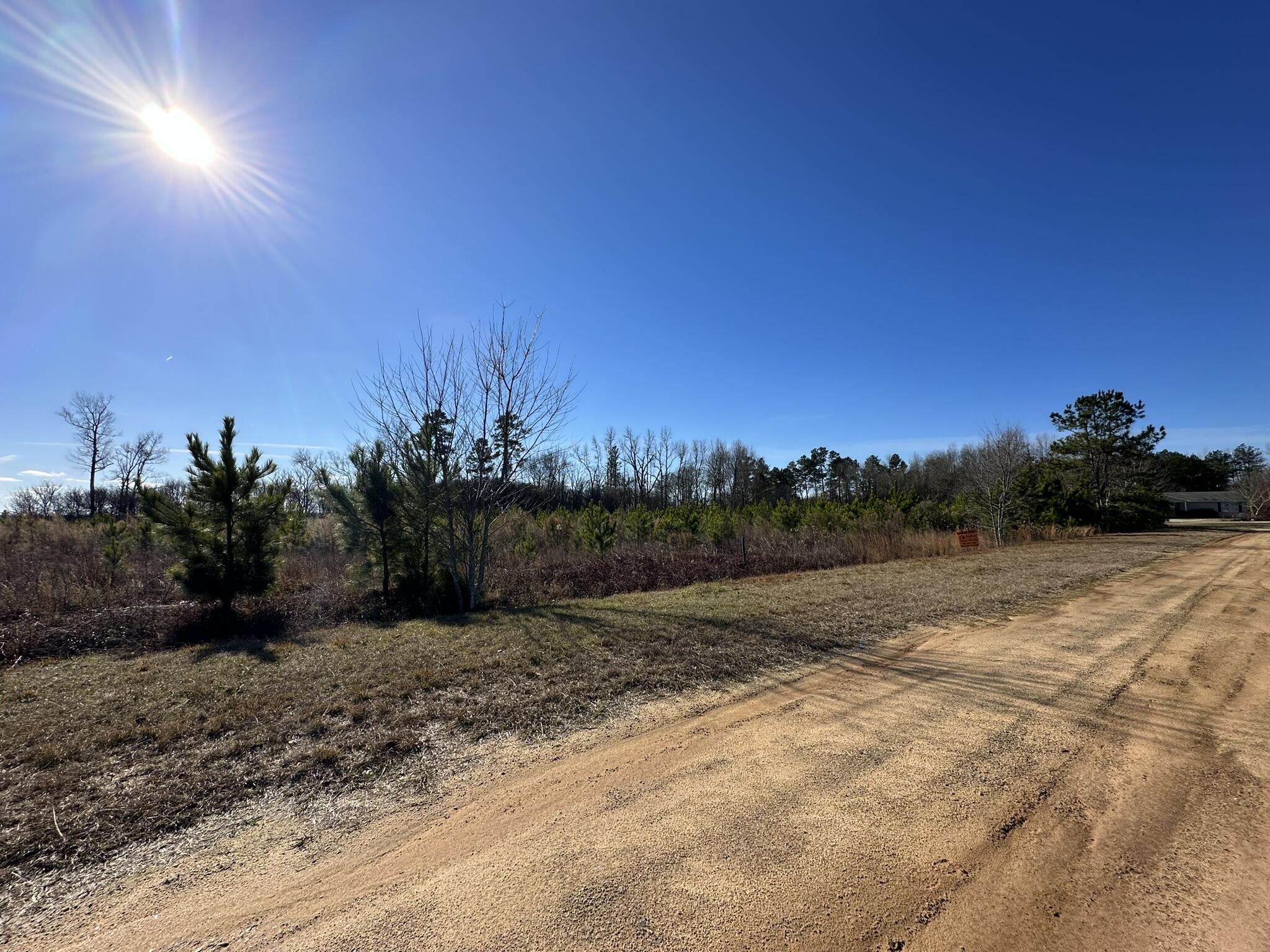 Lot 6 Triangle Road Louisville, GA 30434 - Photo 2 of 10 IMG_7201