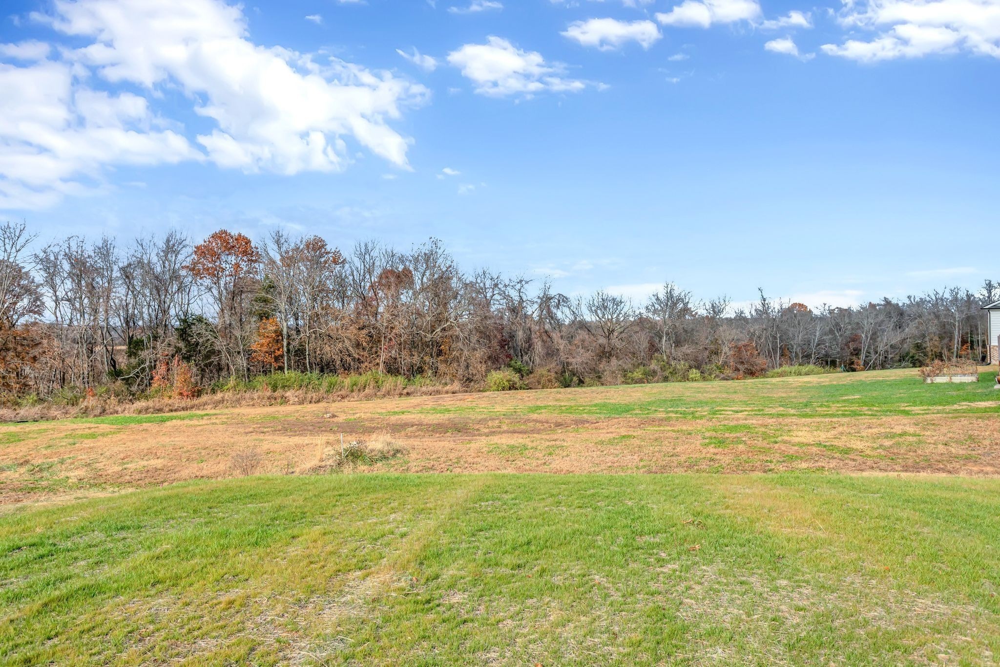 202 Phillips Bend Spring Hill, TN 37174 - Photo 41 of 48