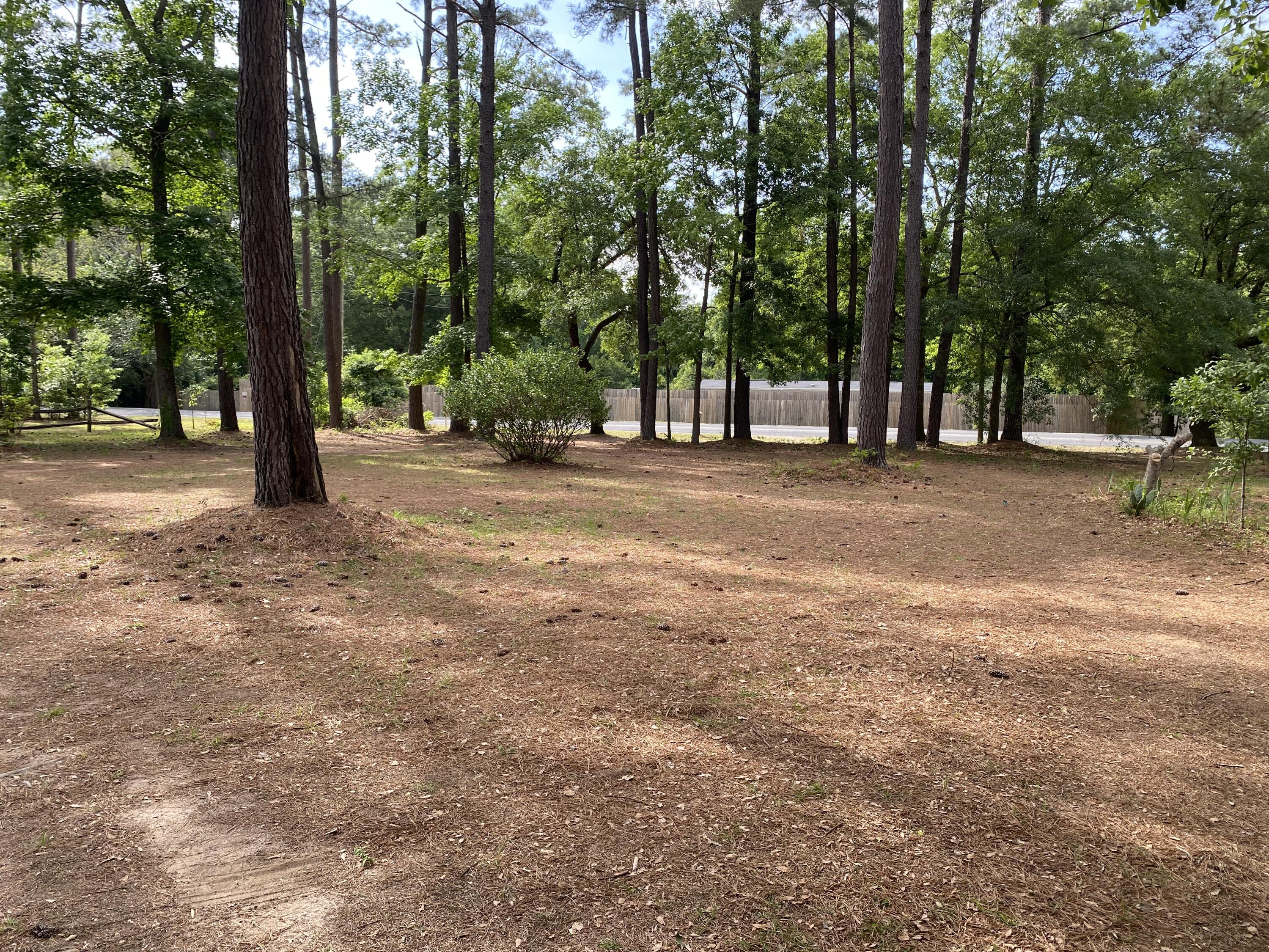 328 Smoak Road Walterboro, SC 29488 - Photo 8 of 28 IMG_3471