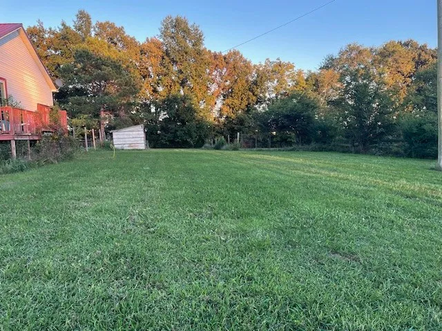 a view of a field of grass and trees