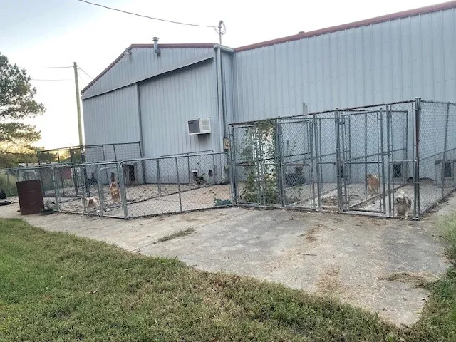 a view of a entrance gate of the house