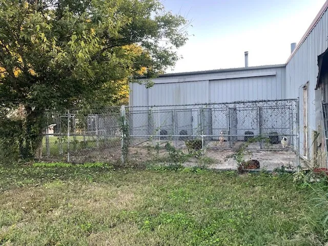 a view of a backyard with plants and garden