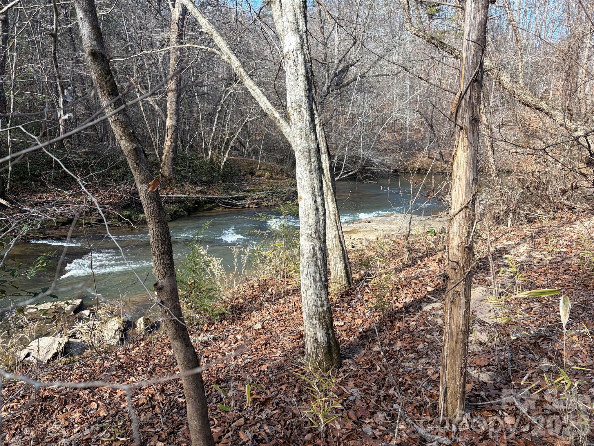a view of lake from a tree