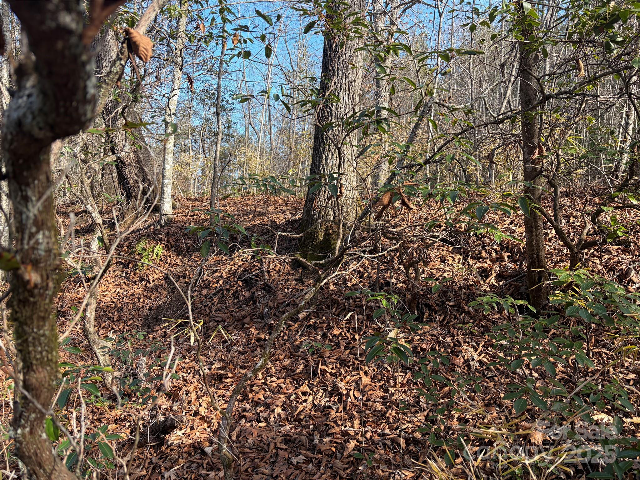 Lot 49 Harmony Grove Road, Unit 49 Nebo, NC 28761 - Photo 3 of 3