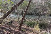 Lot 49 Harmony Grove Road, Unit 49 Nebo, NC 28761 - Photo 10 of 10 Gallery Image 10