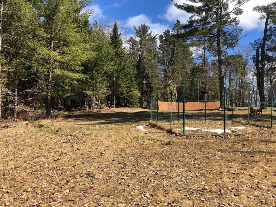 1094 Mullen Road Stetson, ME 04488 - Photo 44 of 46 91911958_611898426030255_308100472404495