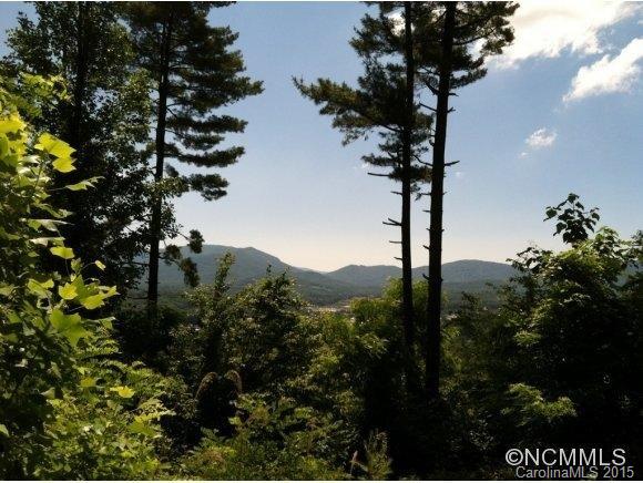 4-5 South Delano Road Asheville, NC 28805 - Photo 1 of 8