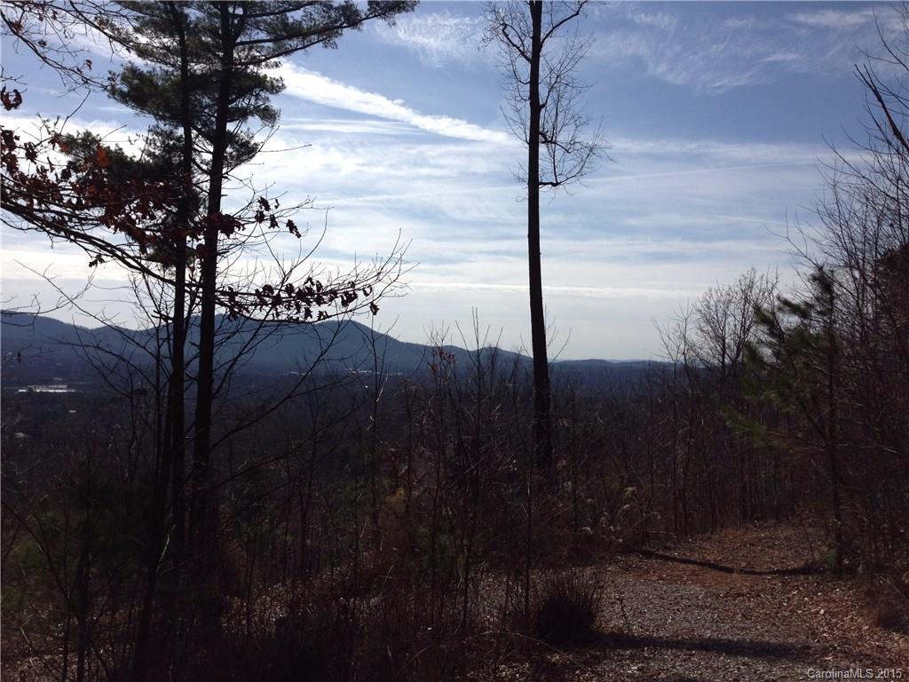 4-5 South Delano Road Asheville, NC 28805 - Photo 2 of 8